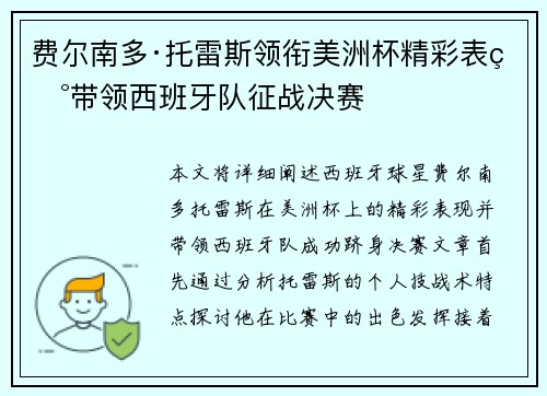 费尔南多·托雷斯领衔美洲杯精彩表现带领西班牙队征战决赛